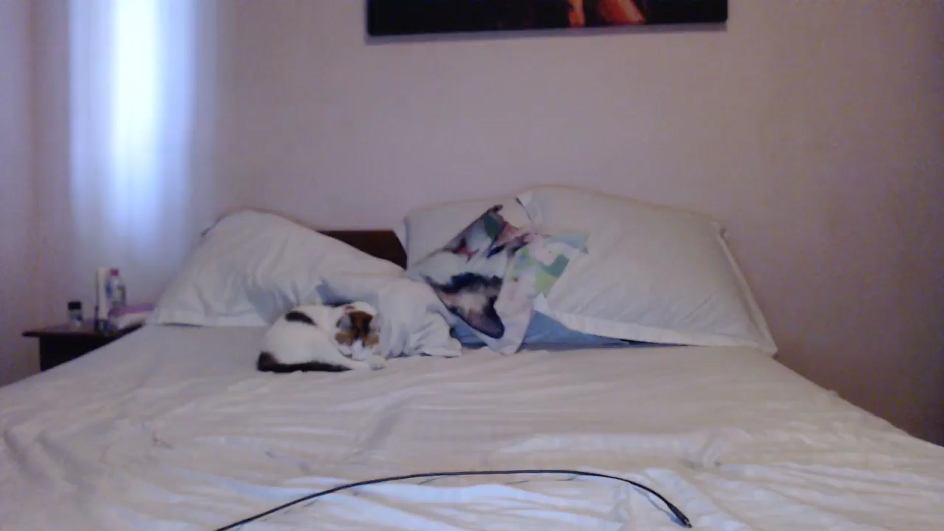 Aahh_Emilia video thumbnail