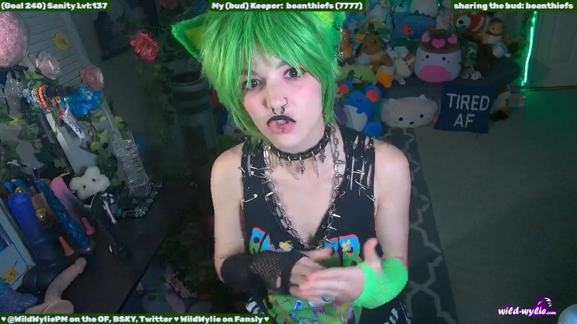 WildWyliePM video thumbnail