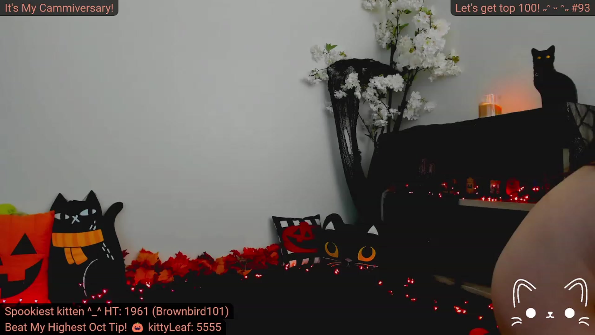Kitty video thumbnail