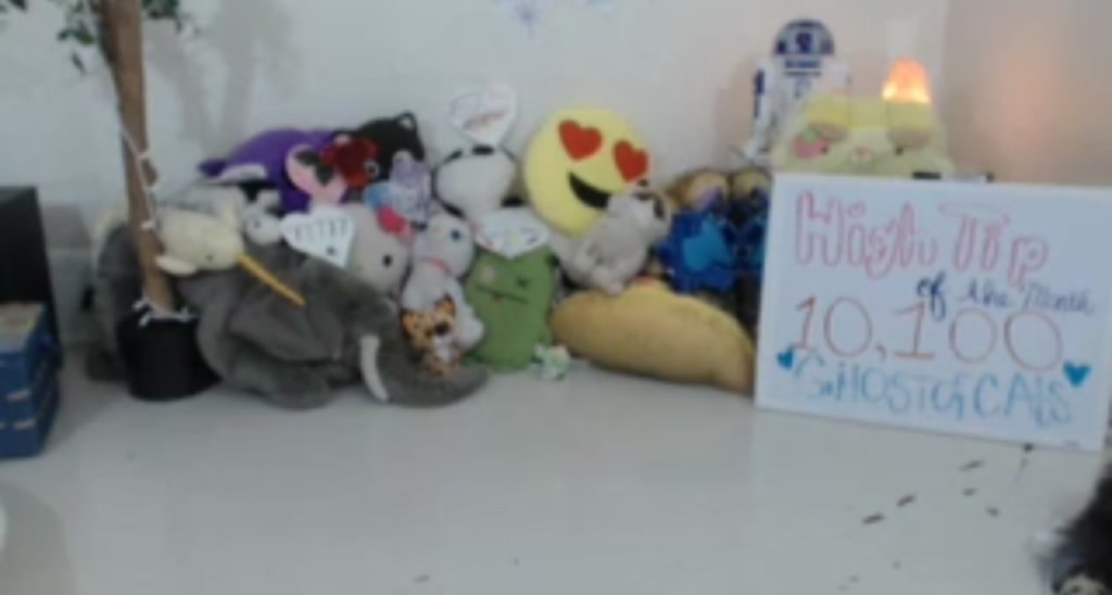 Catjira_ video thumbnail