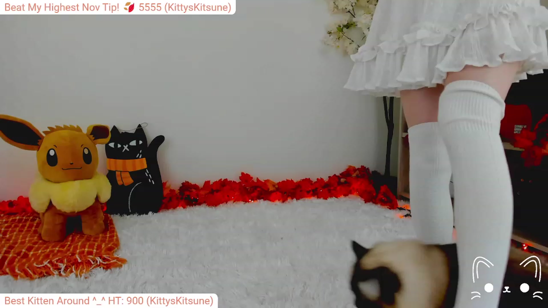Kitty video thumbnail