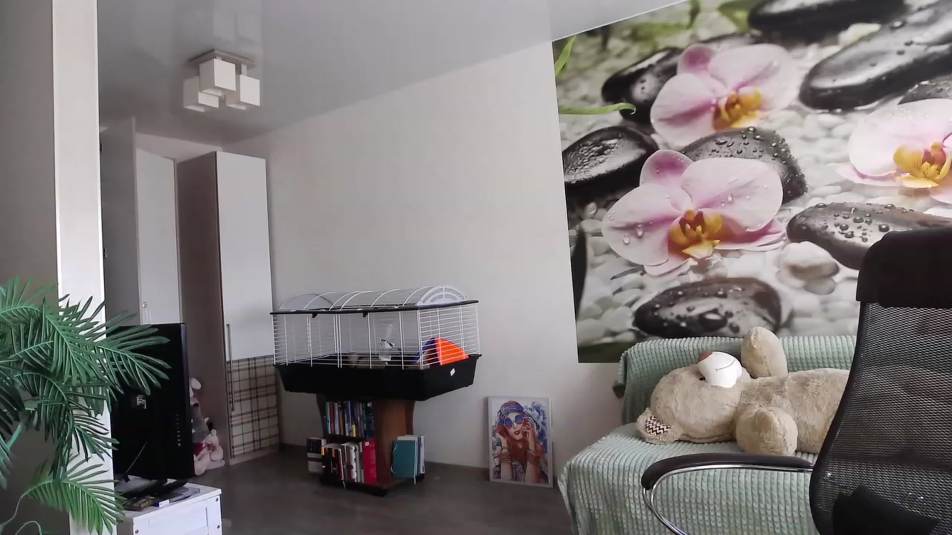 HoneyIAmHome video thumbnail