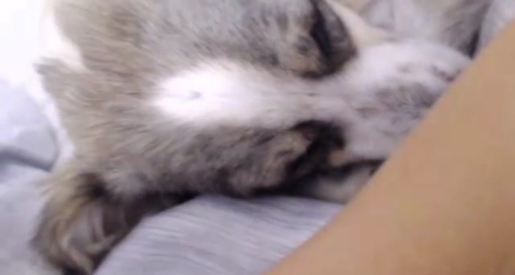 OhMyMel video thumbnail