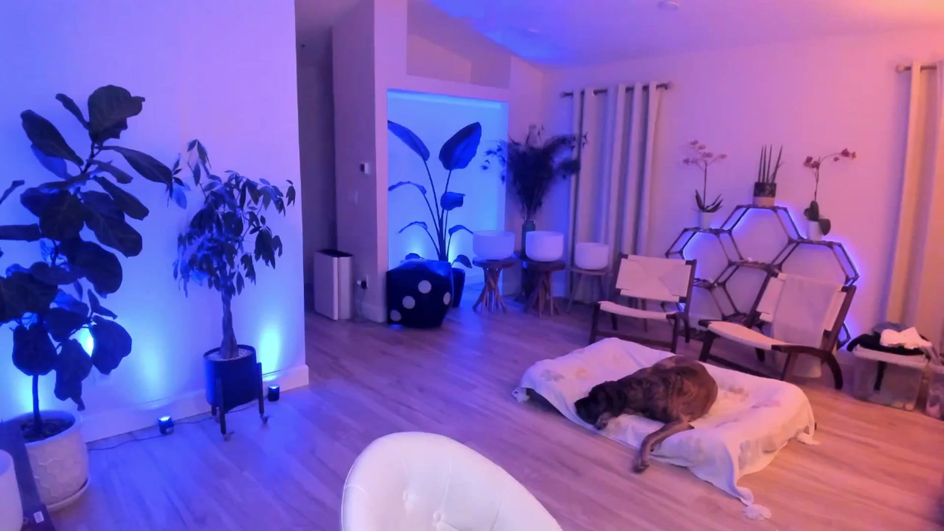 MJ_Summer video thumbnail