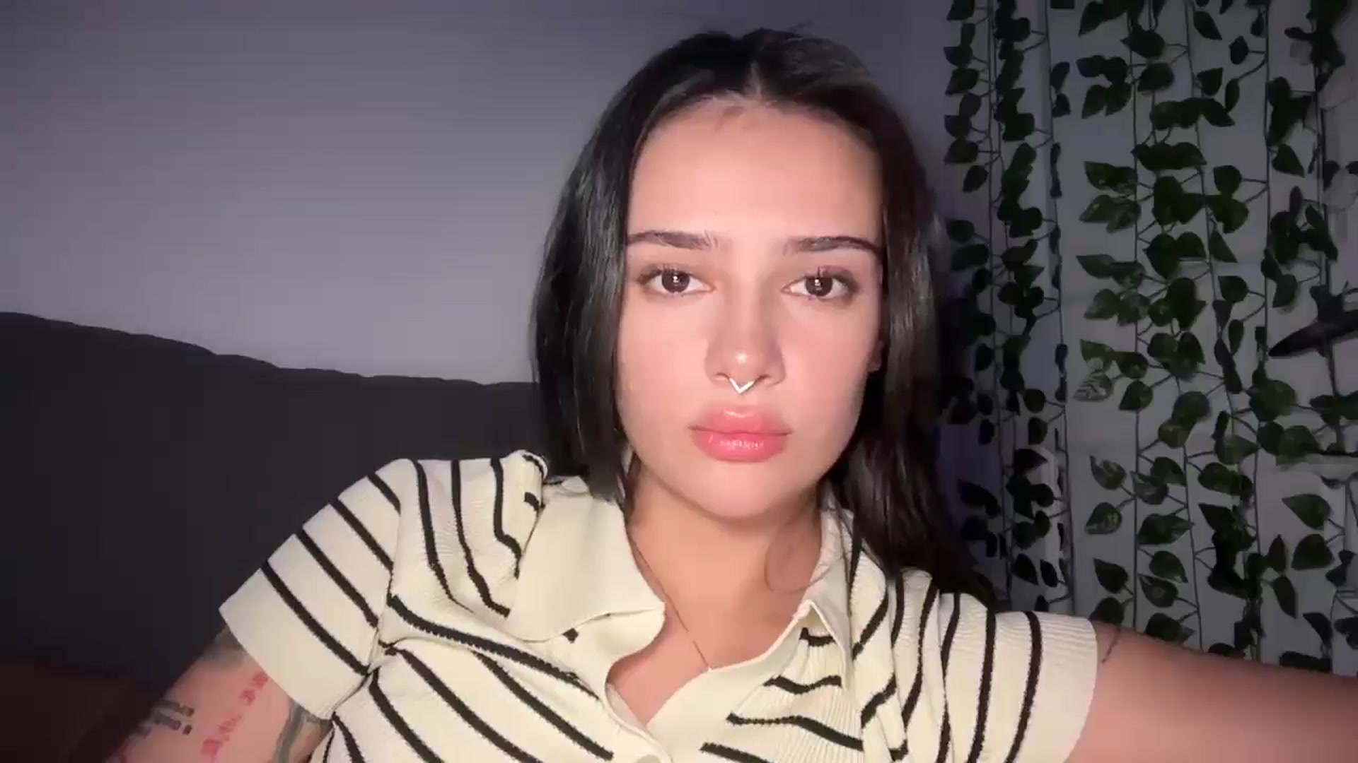 mayflowers video thumbnail