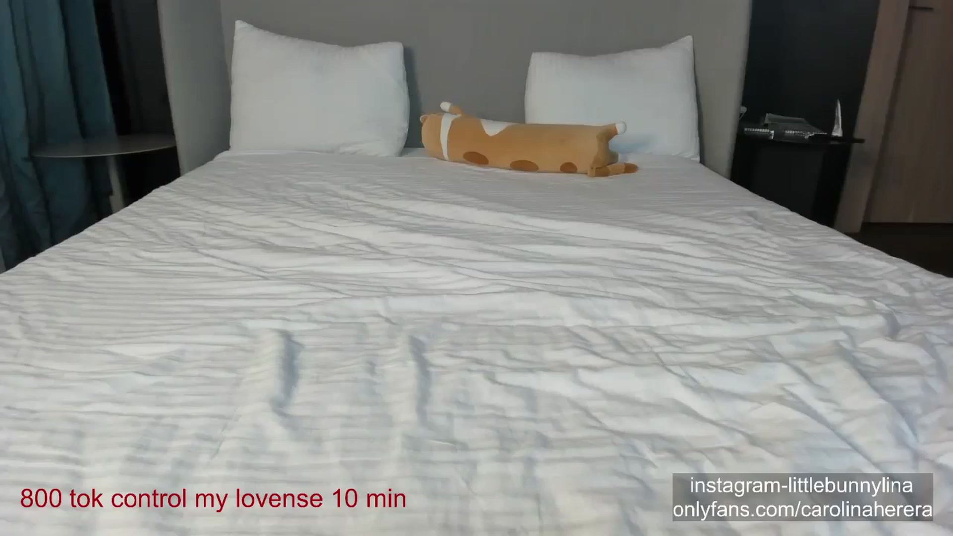 CarolinaHerer video thumbnail