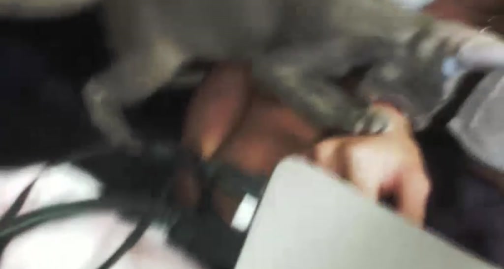 HurricaneKat_ video thumbnail