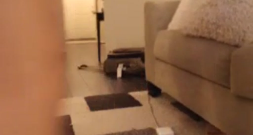 MissNoSkype_ video thumbnail