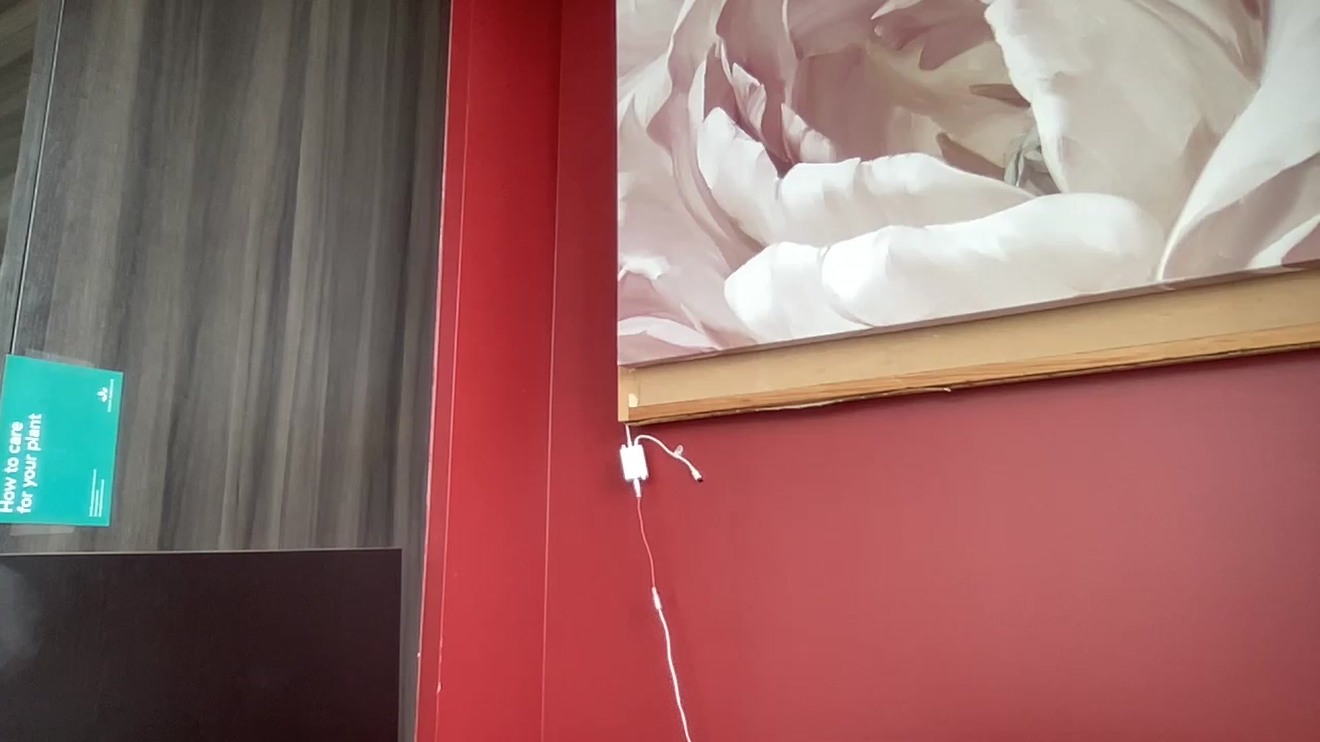 EmiliaBrooks video thumbnail