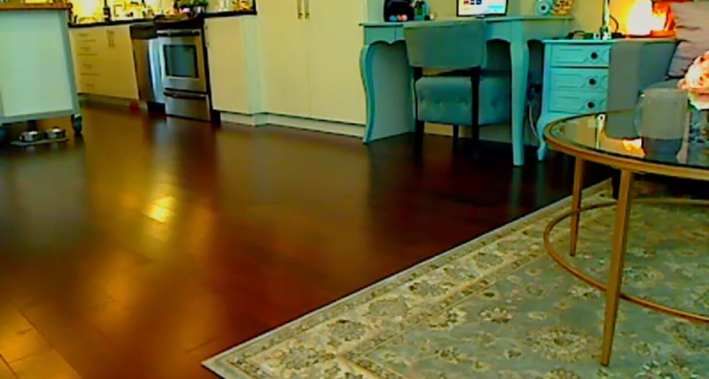 TATTGODDESS video thumbnail