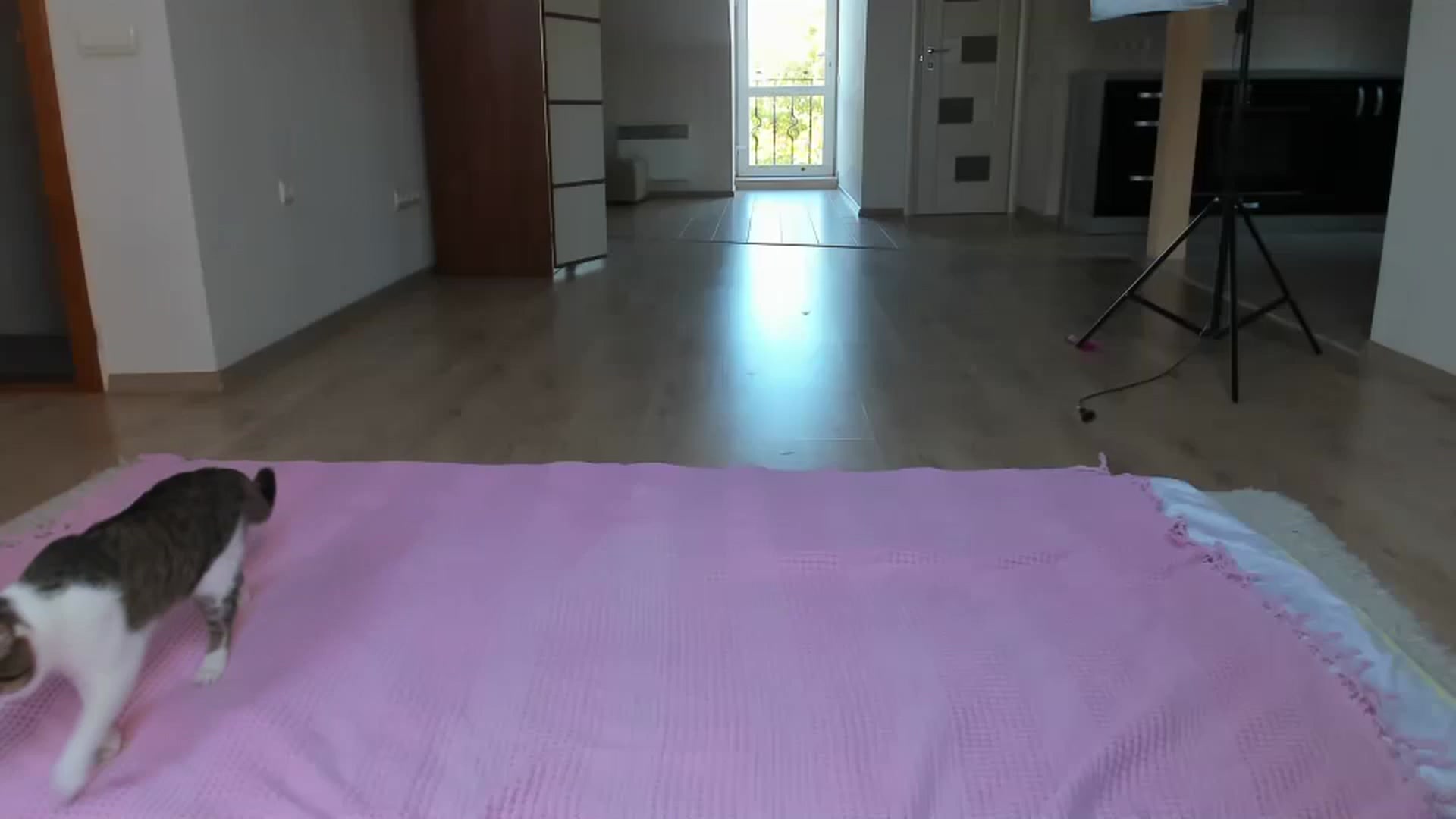 Lana_Kitty20 video thumbnail