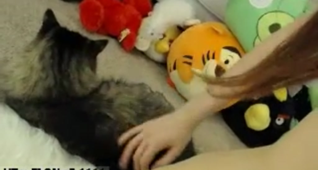 Eeeva video thumbnail