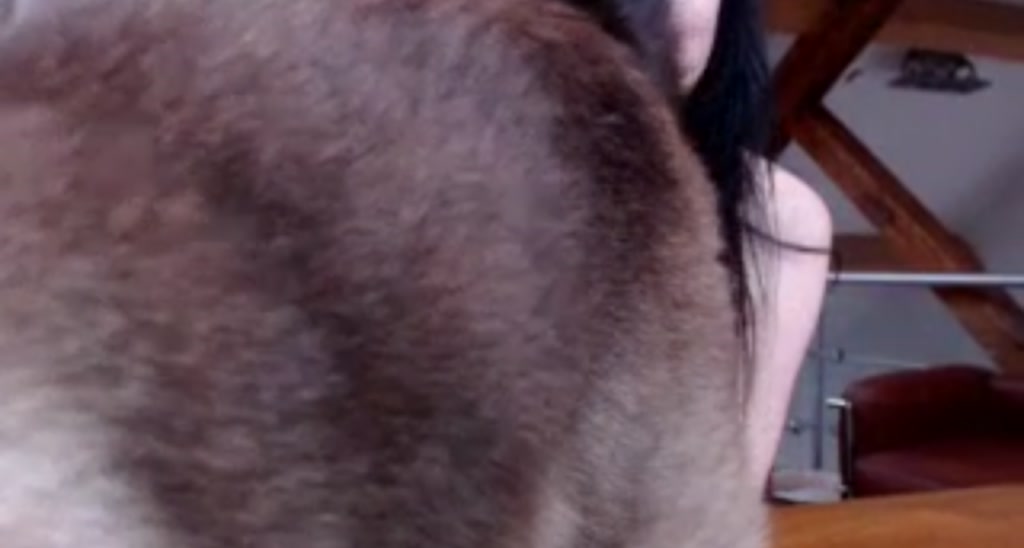 thecuteghost video thumbnail