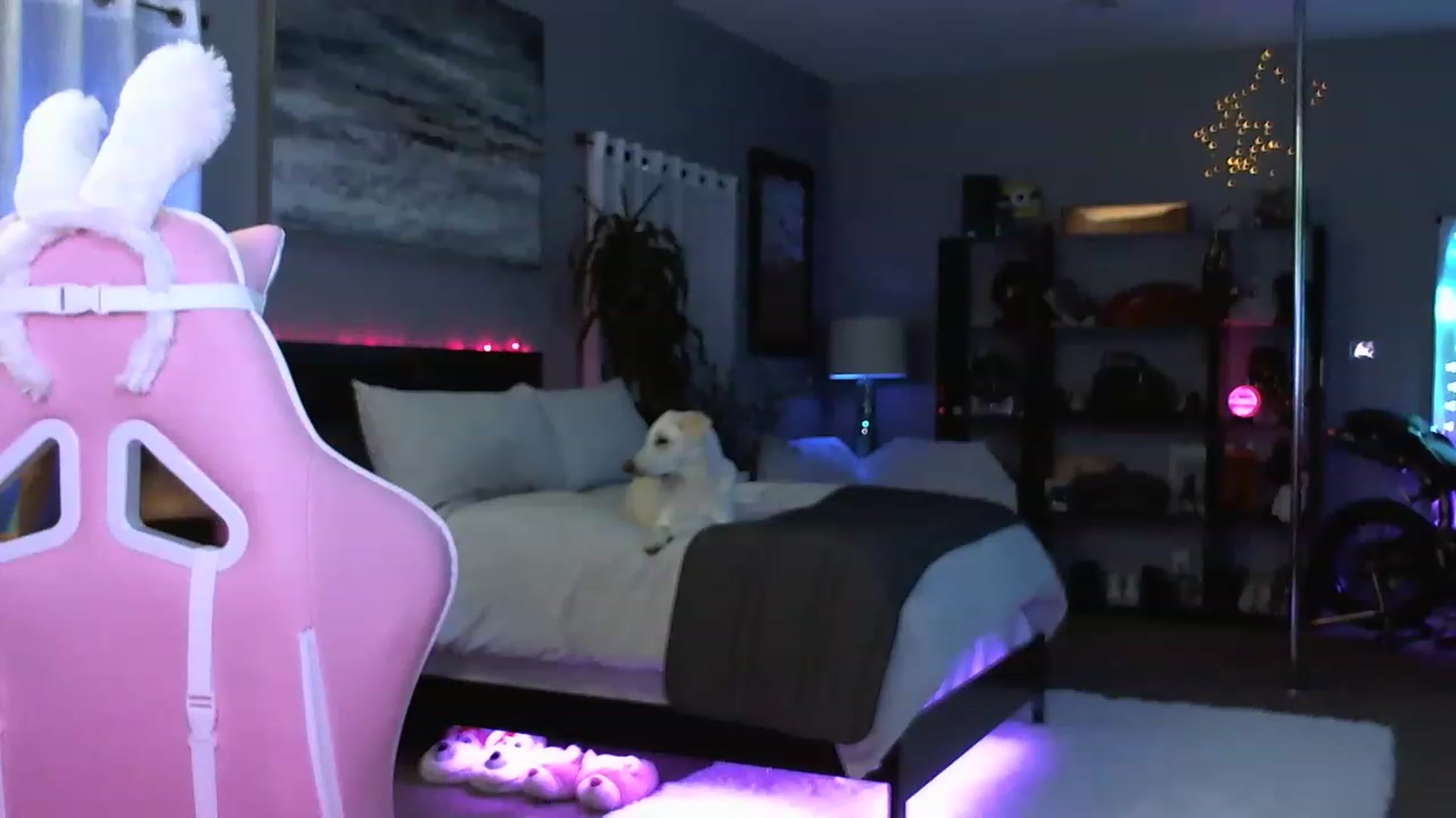 LexxiStar video thumbnail