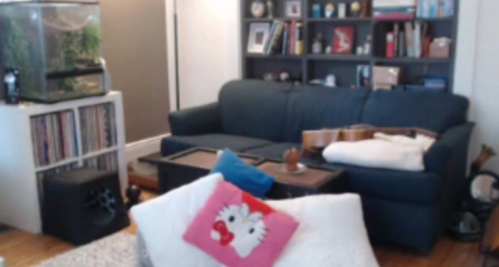 holliebee video thumbnail