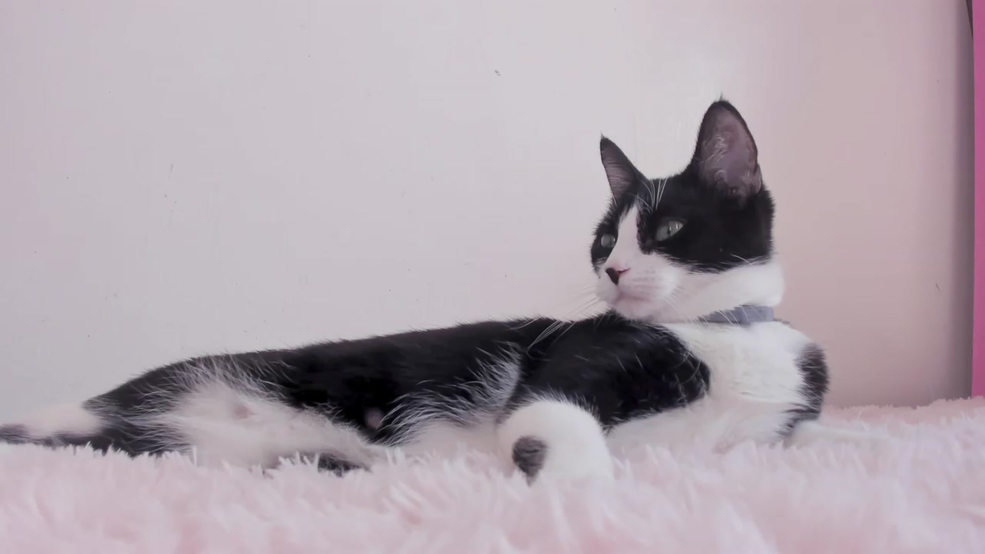 NaomiDee video thumbnail
