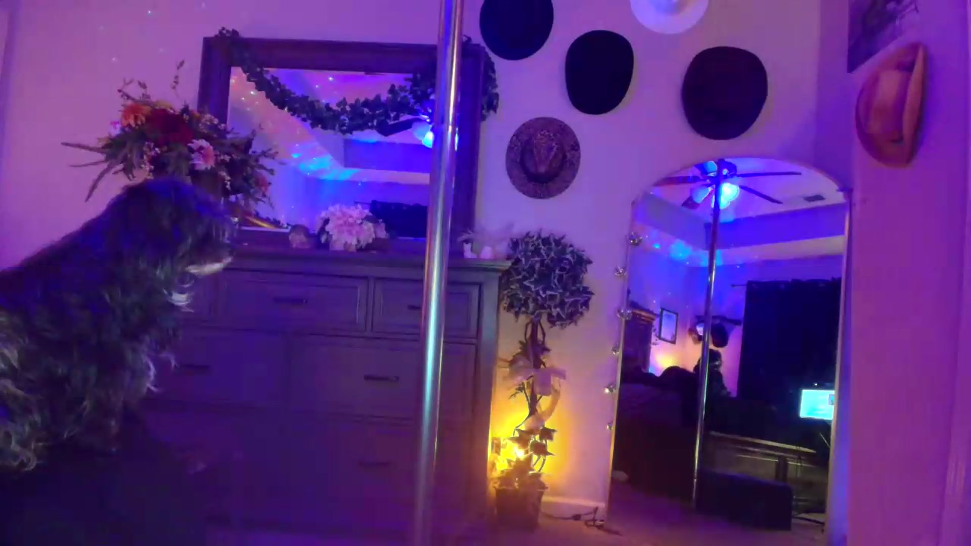 PoleBunnyXxx video thumbnail
