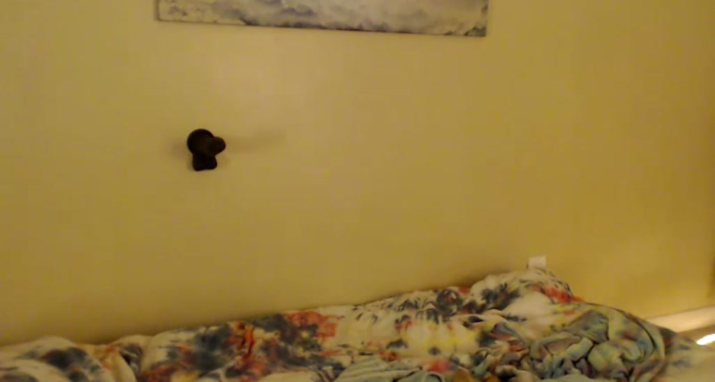 Gabbi_ video thumbnail
