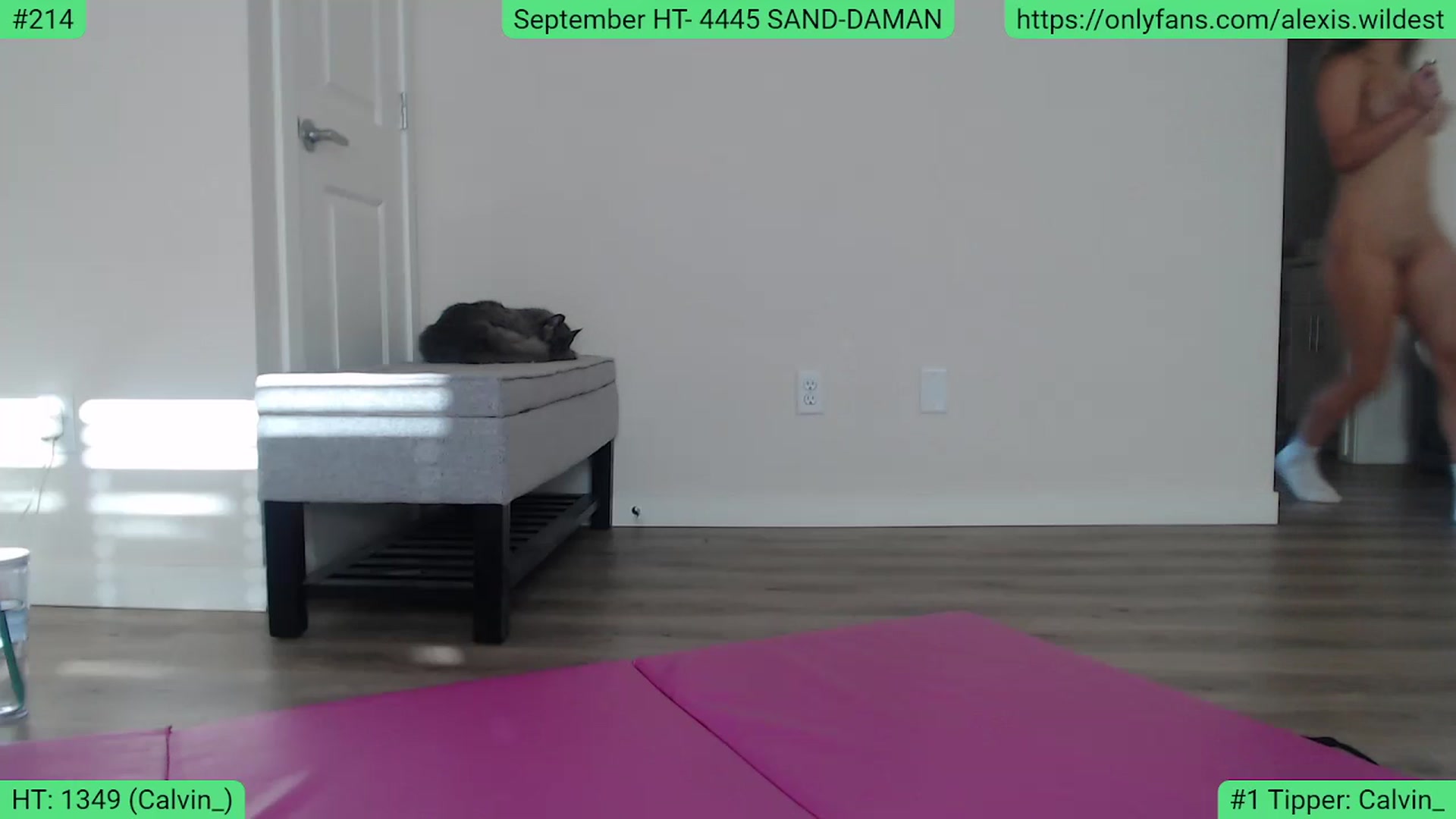 AlexisWildest video thumbnail