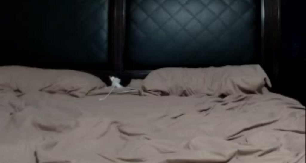 brianna_babe video thumbnail