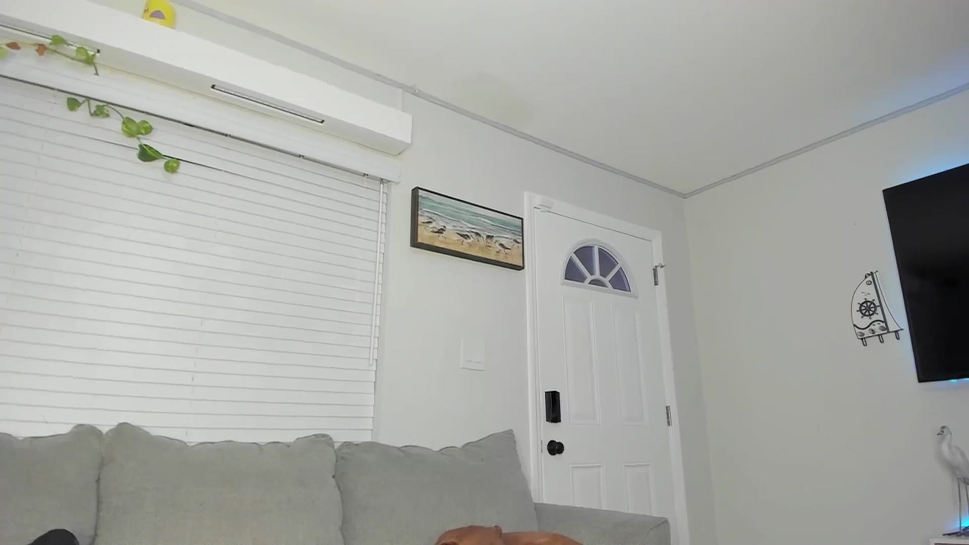 Belphoebe video thumbnail