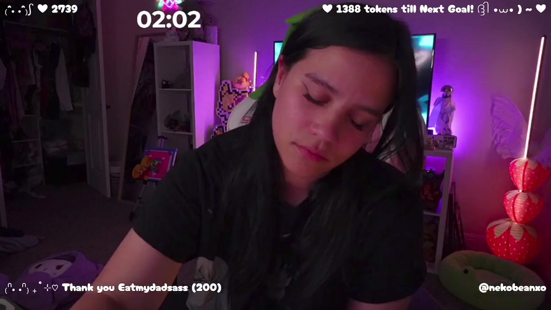 Nekobeanxo video thumbnail