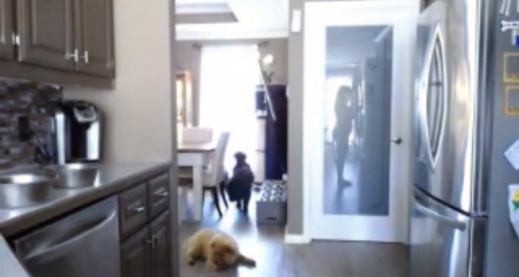 Miss_Nina video thumbnail