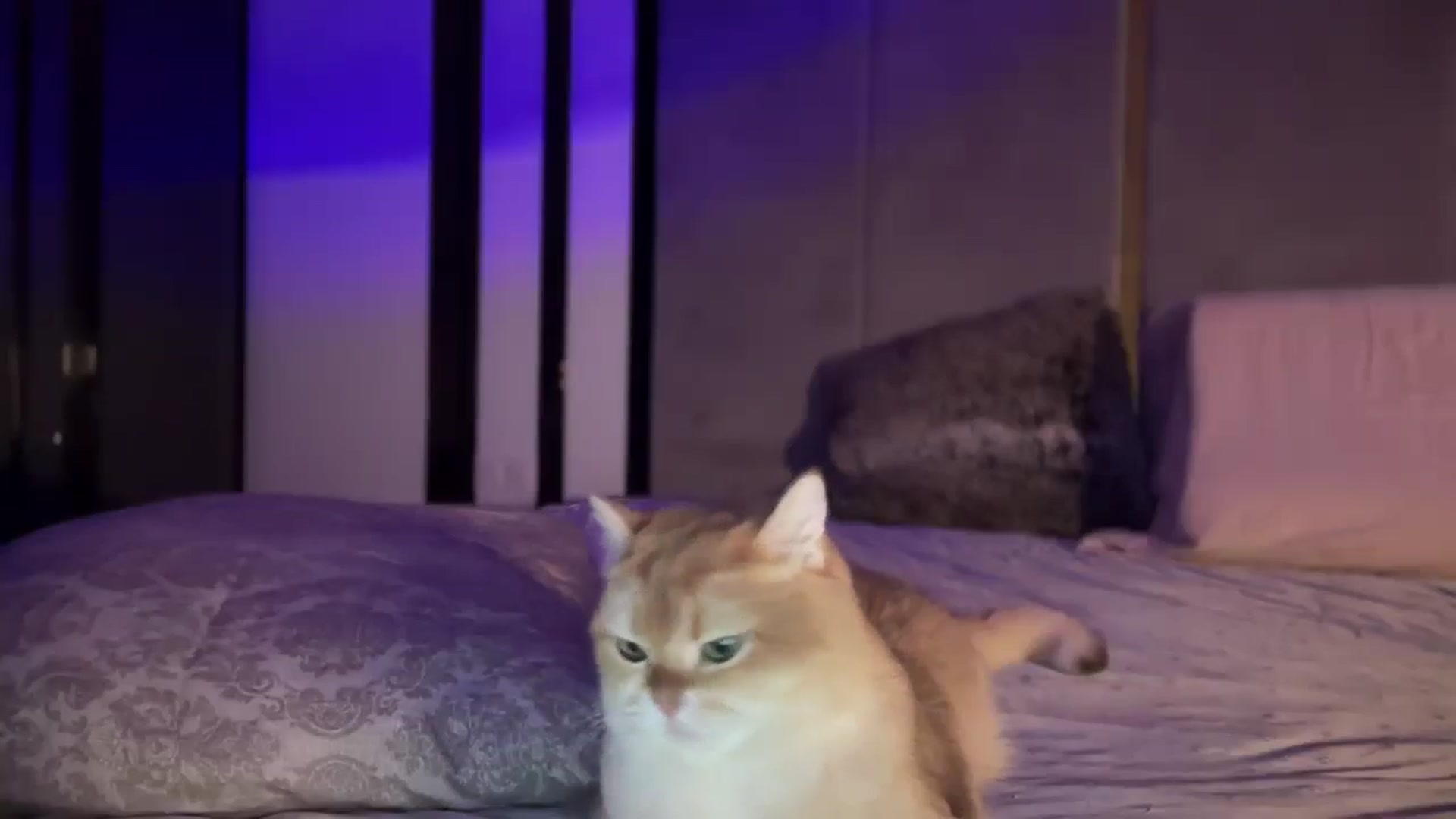 UGLYGIRL_ video thumbnail