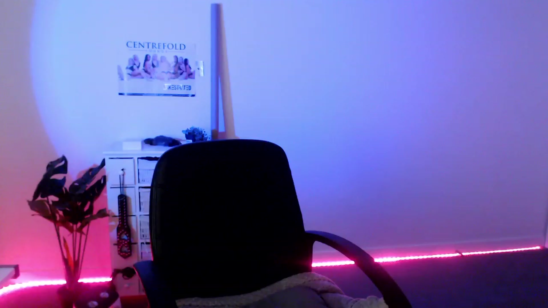 StonksRoom video thumbnail