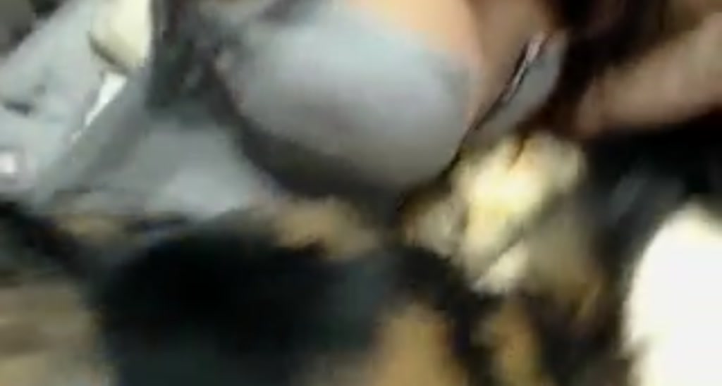 Selenity video thumbnail