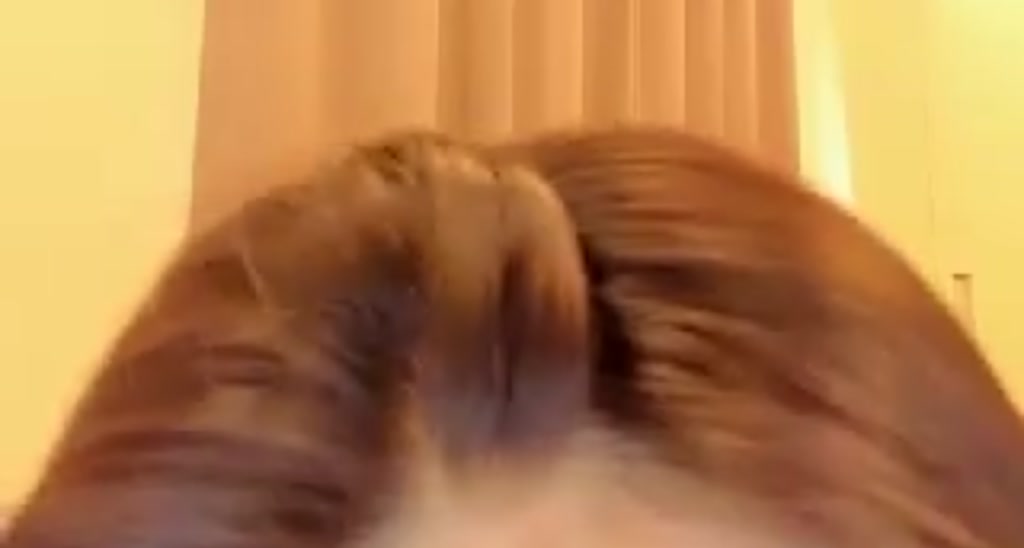 SweetNiU__ video thumbnail