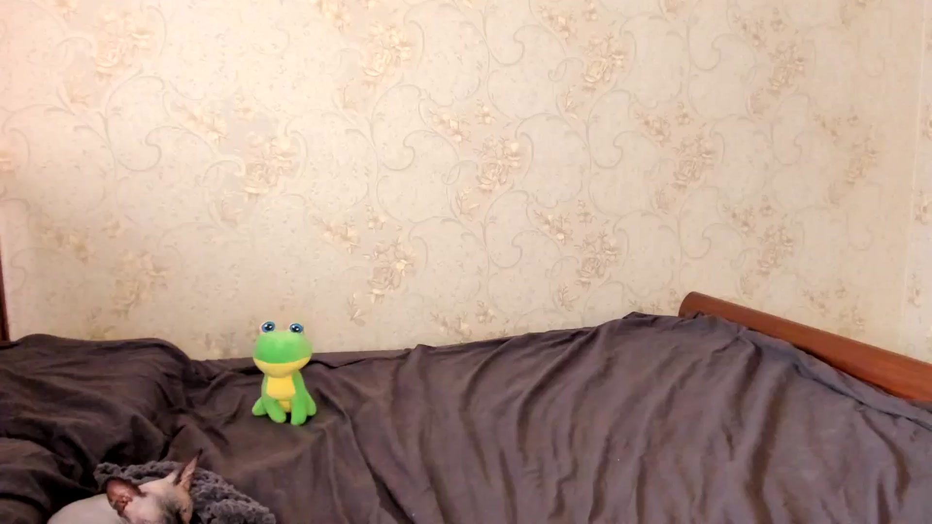 lifethebest video thumbnail