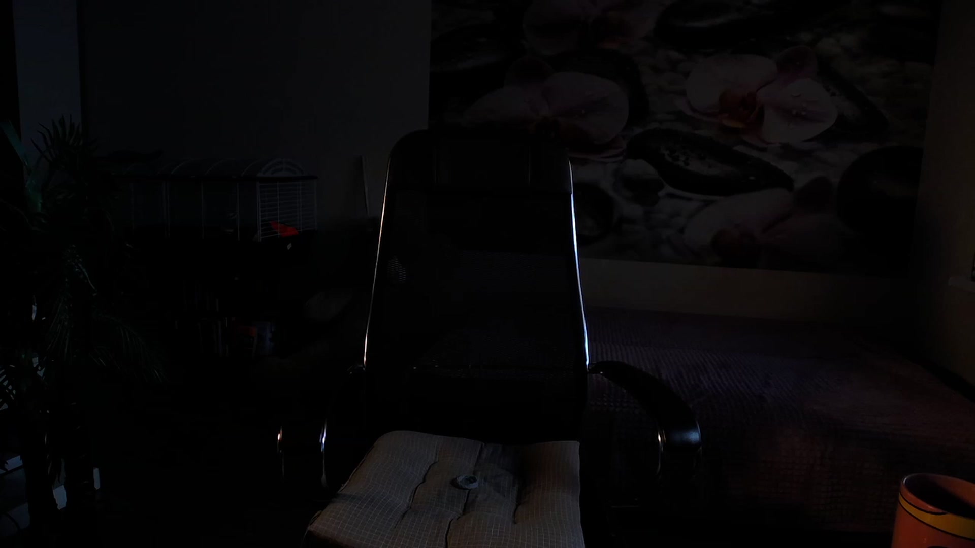 HoneyIAmHome video thumbnail
