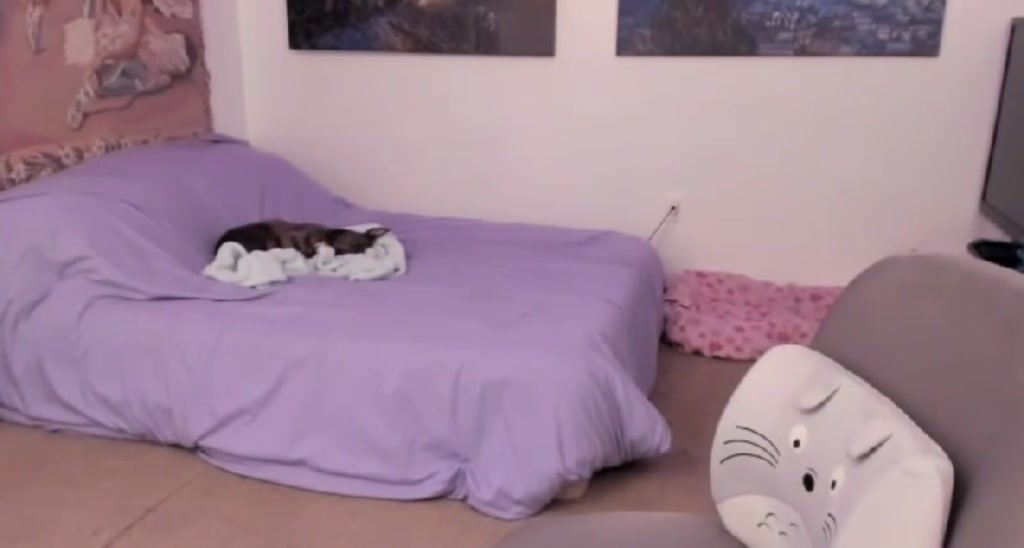 Ashley video thumbnail