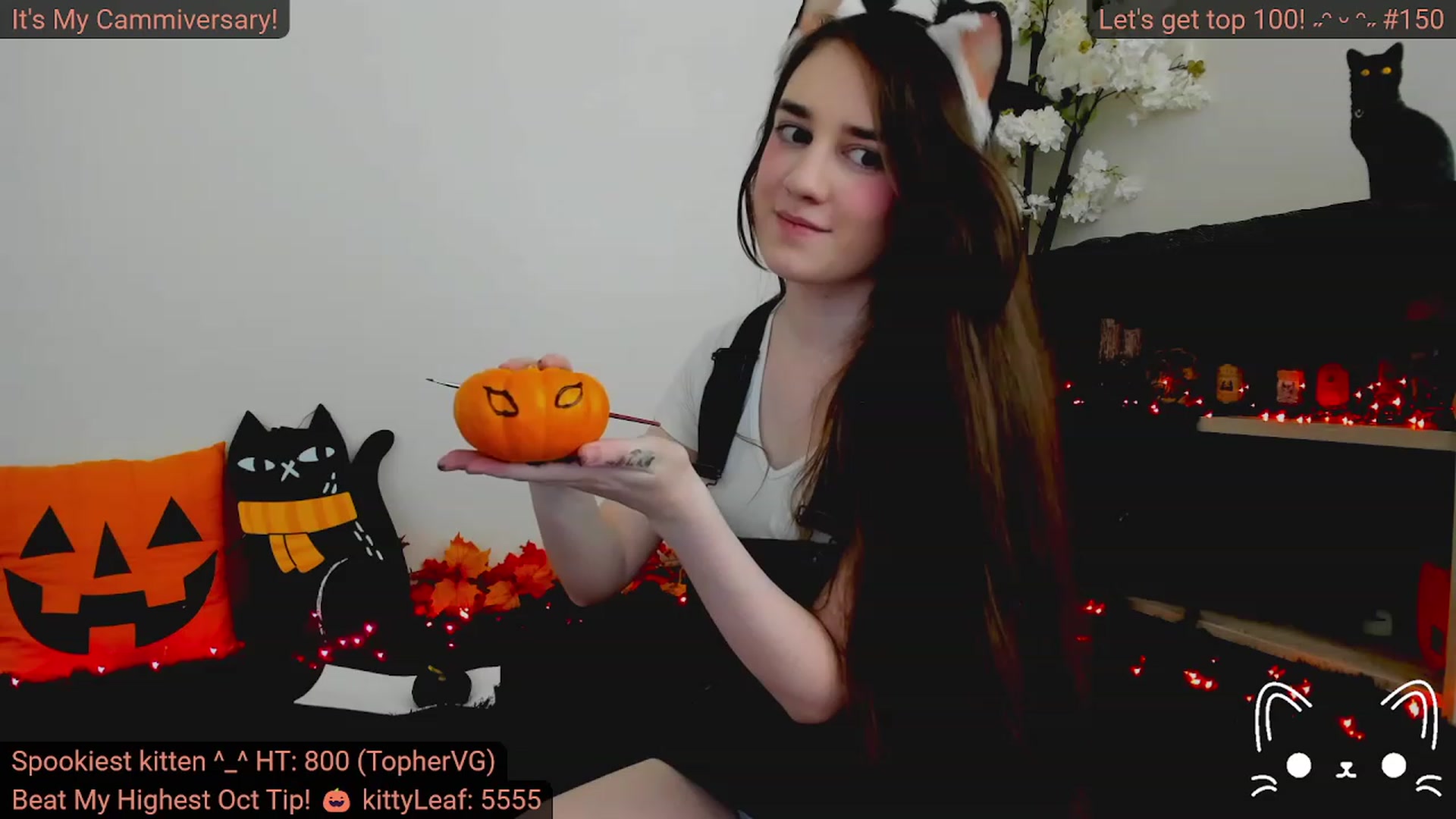 Kitty video thumbnail