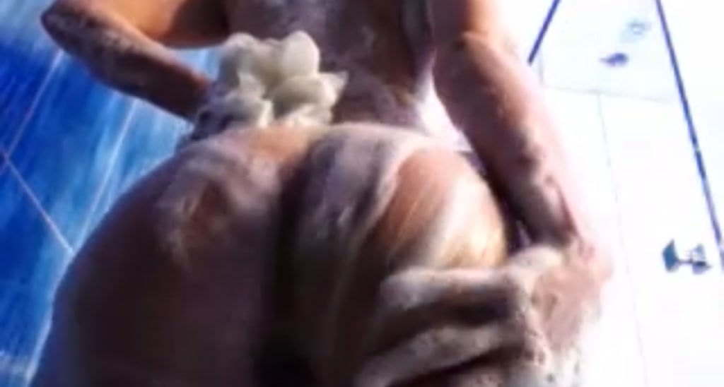 LovelyKittie video thumbnail