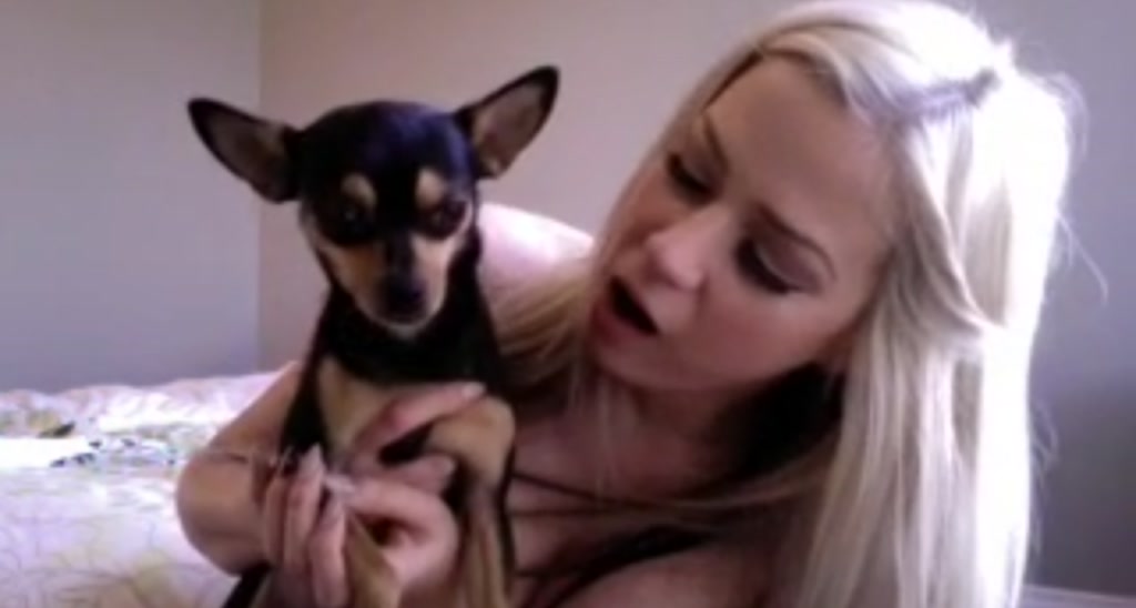 Porchia video thumbnail