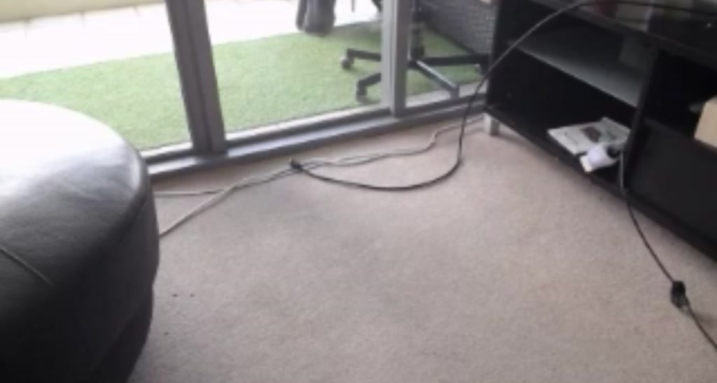 WinnieCooper_ video thumbnail