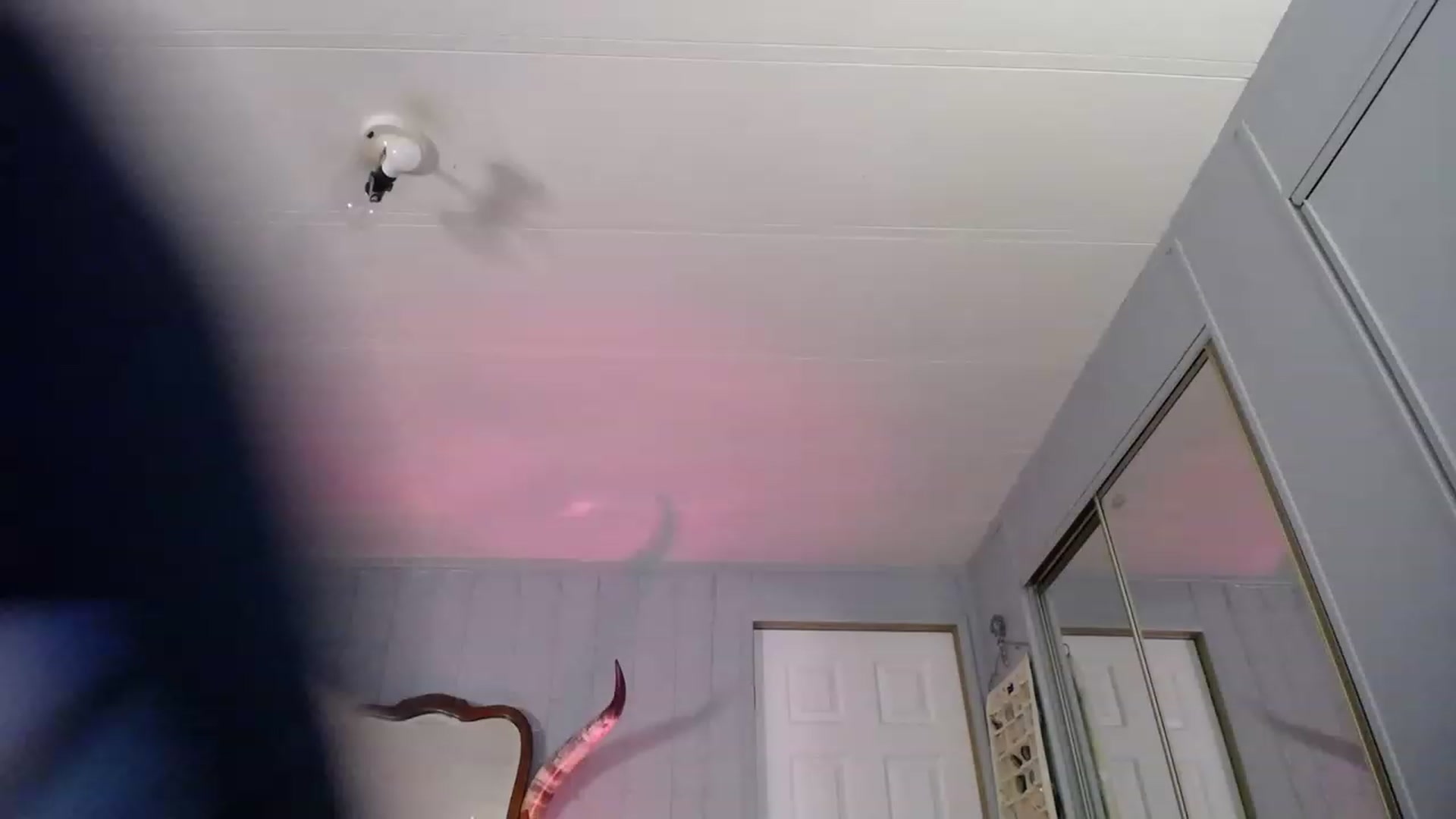 Country_Daisy video thumbnail