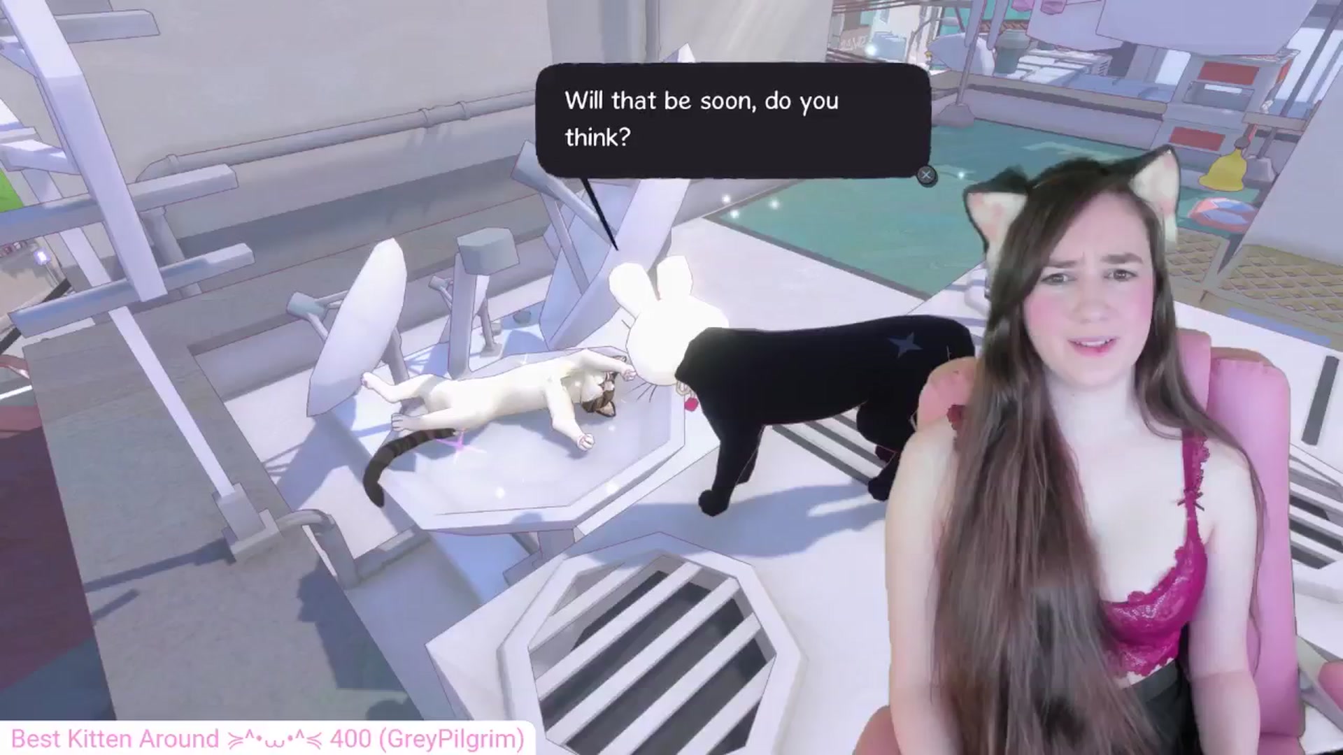 Kitty video thumbnail