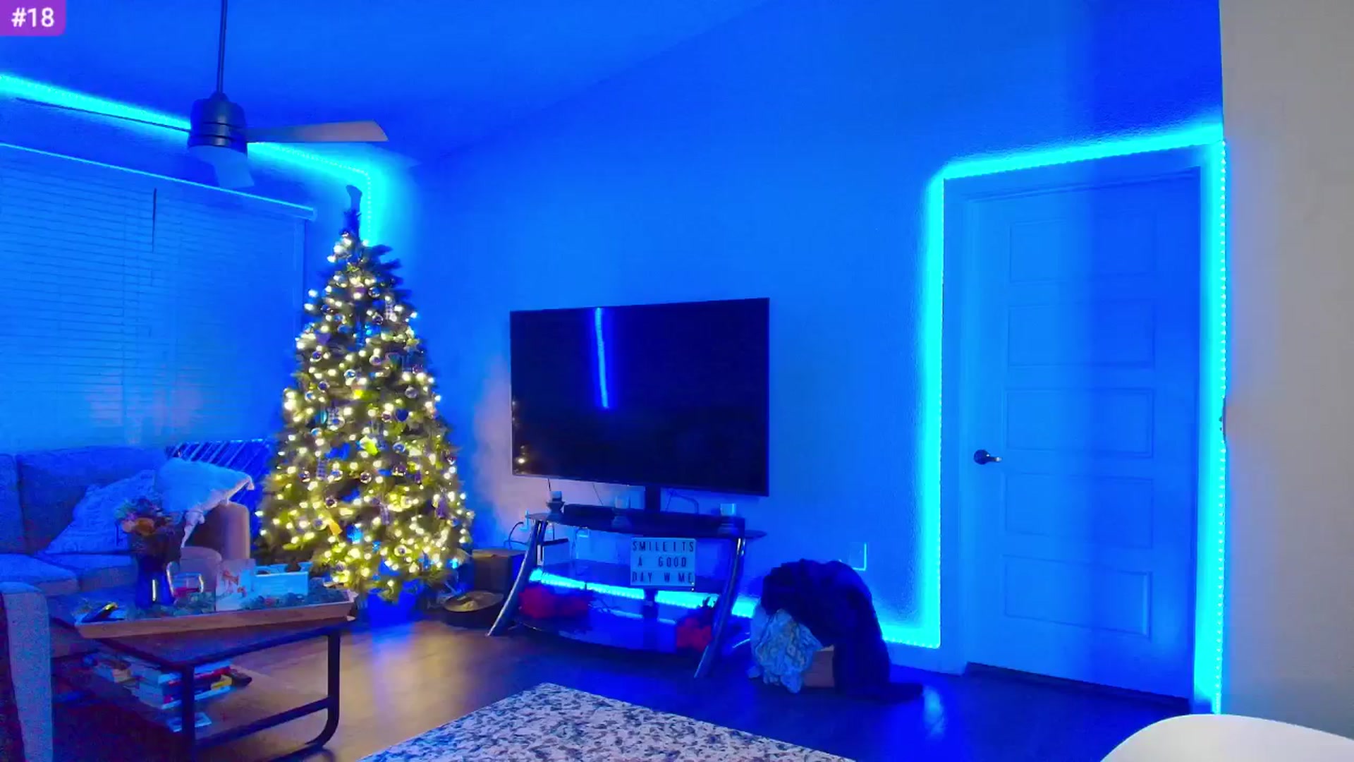 Sammy_gray video thumbnail