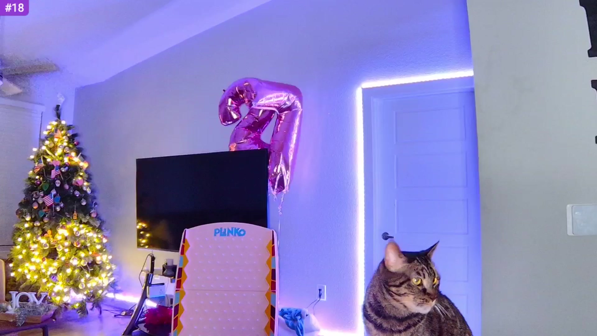 Sammy_gray video thumbnail