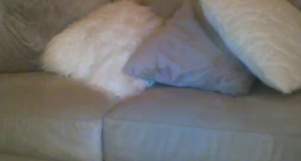 bunnybshuzie video thumbnail