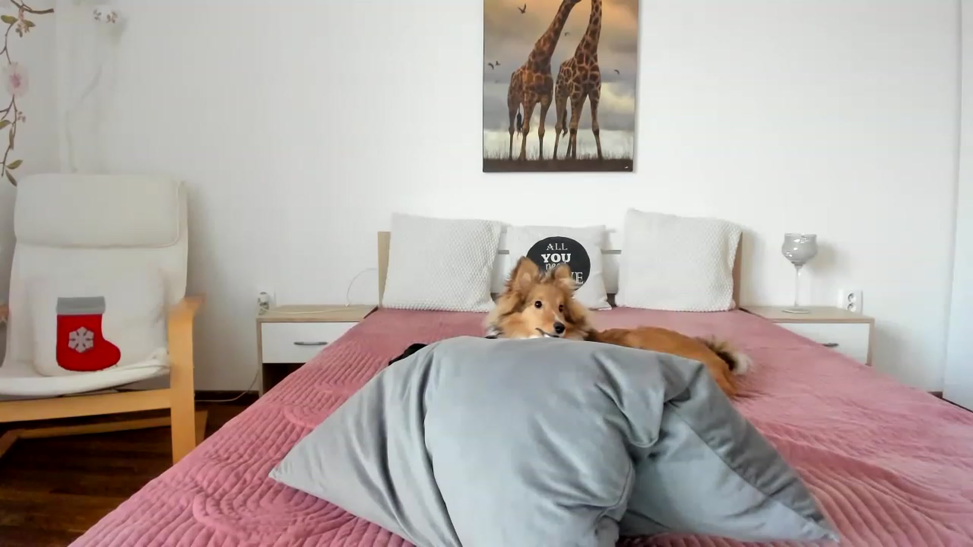 Saandruskka video thumbnail