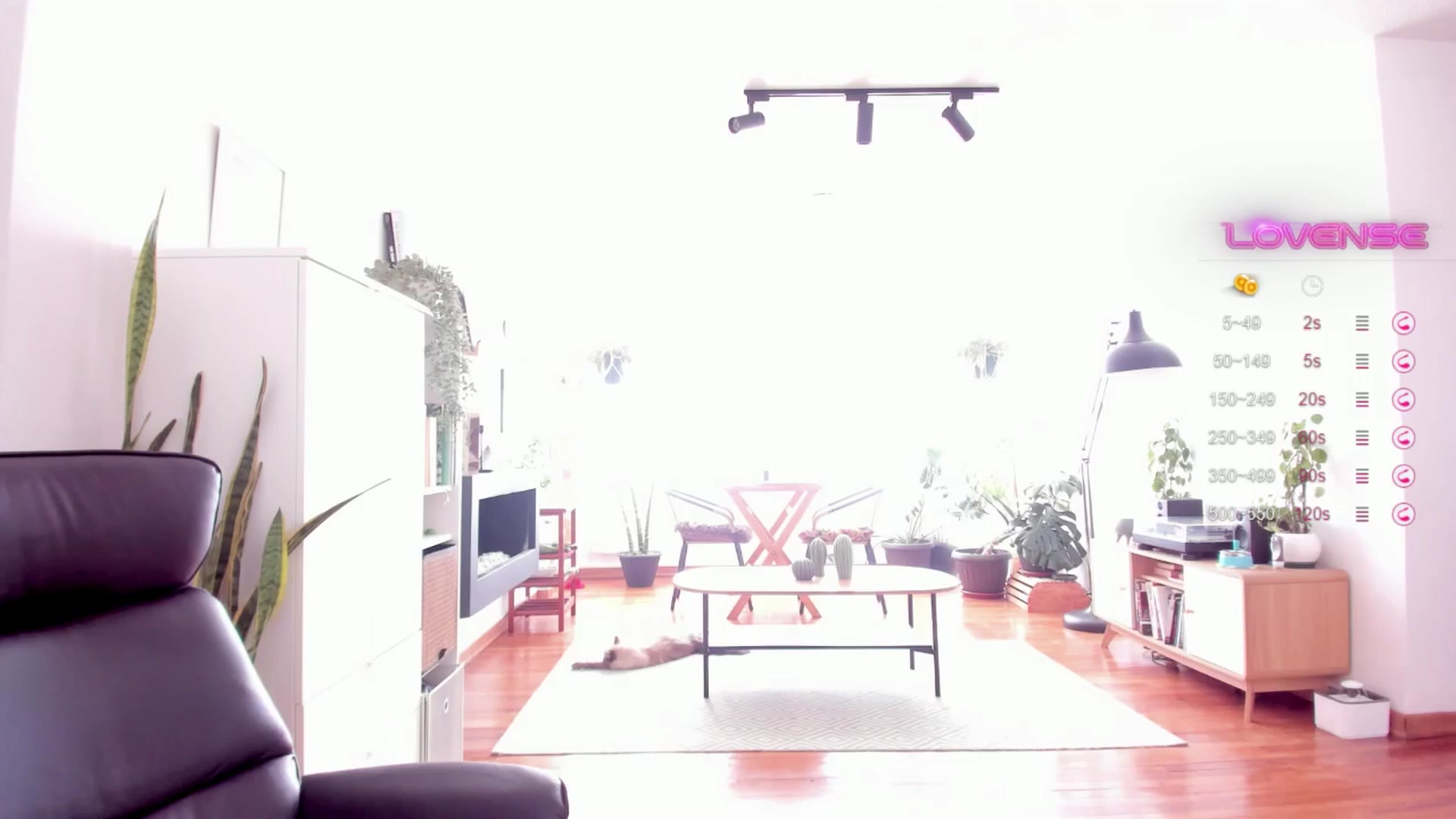 Ysabeau video thumbnail