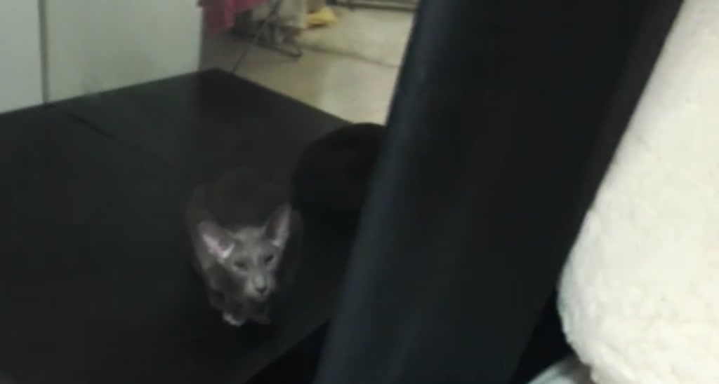 HurricaneKat_ video thumbnail