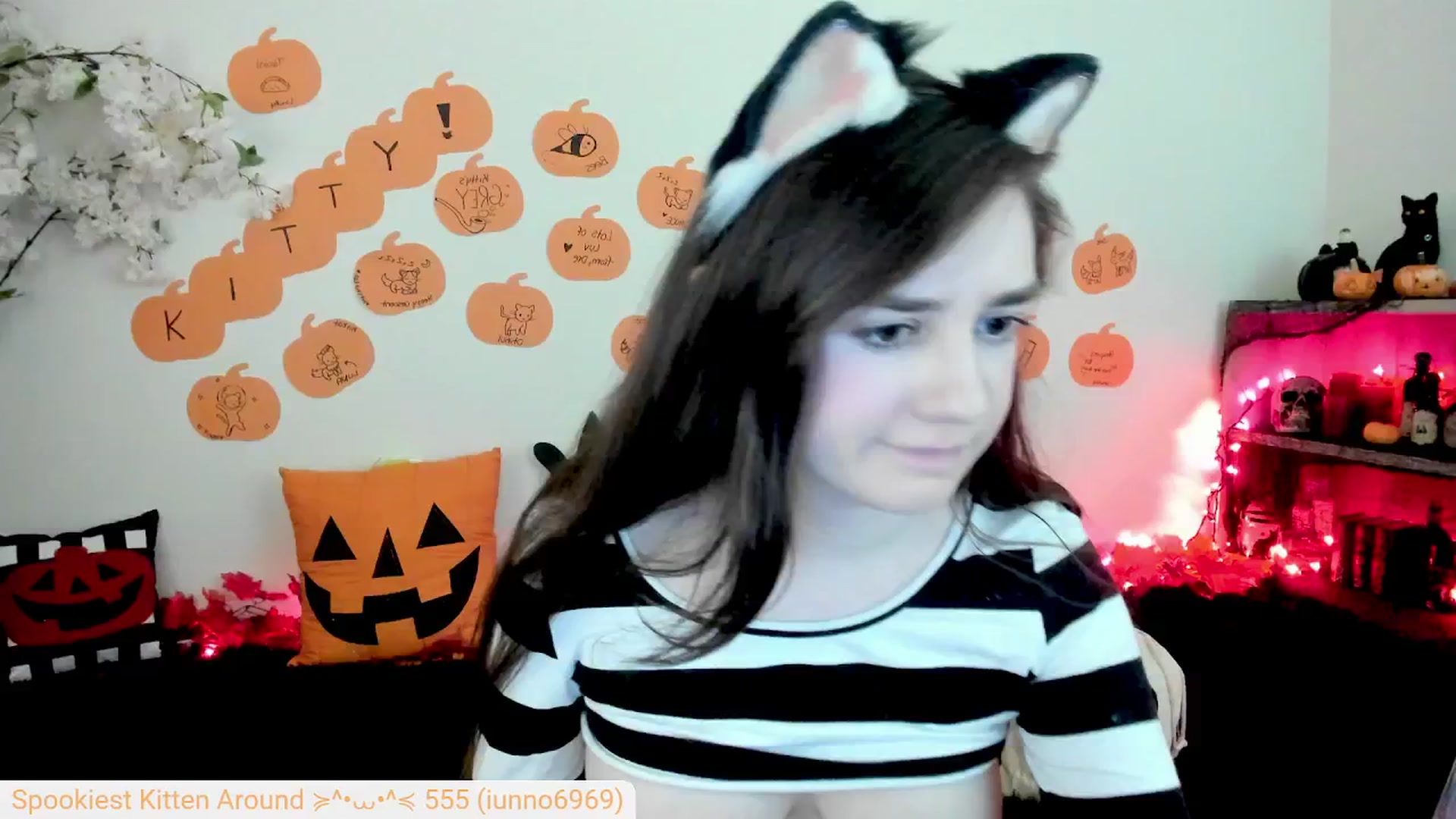 Kitty video thumbnail