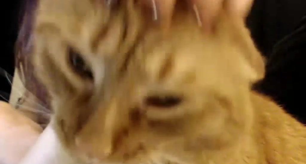 EmmyLove video thumbnail