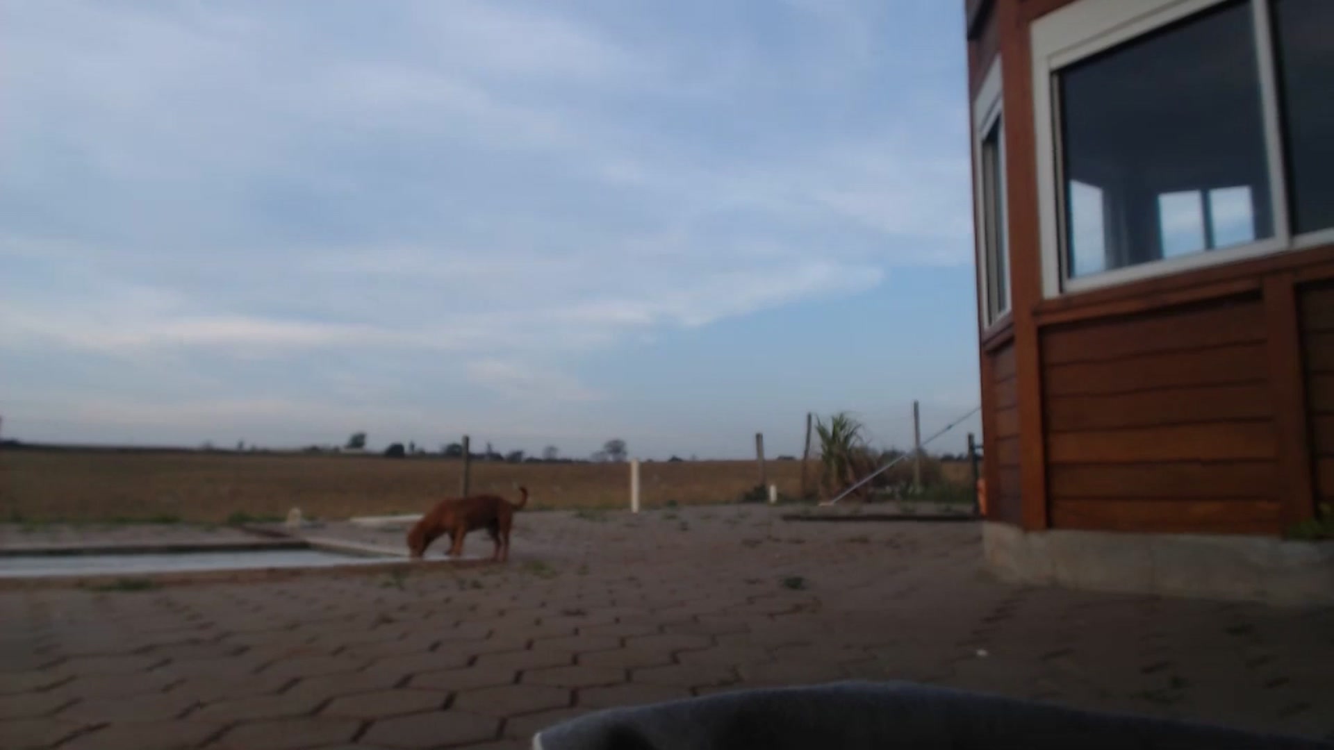 misssweetteen video thumbnail