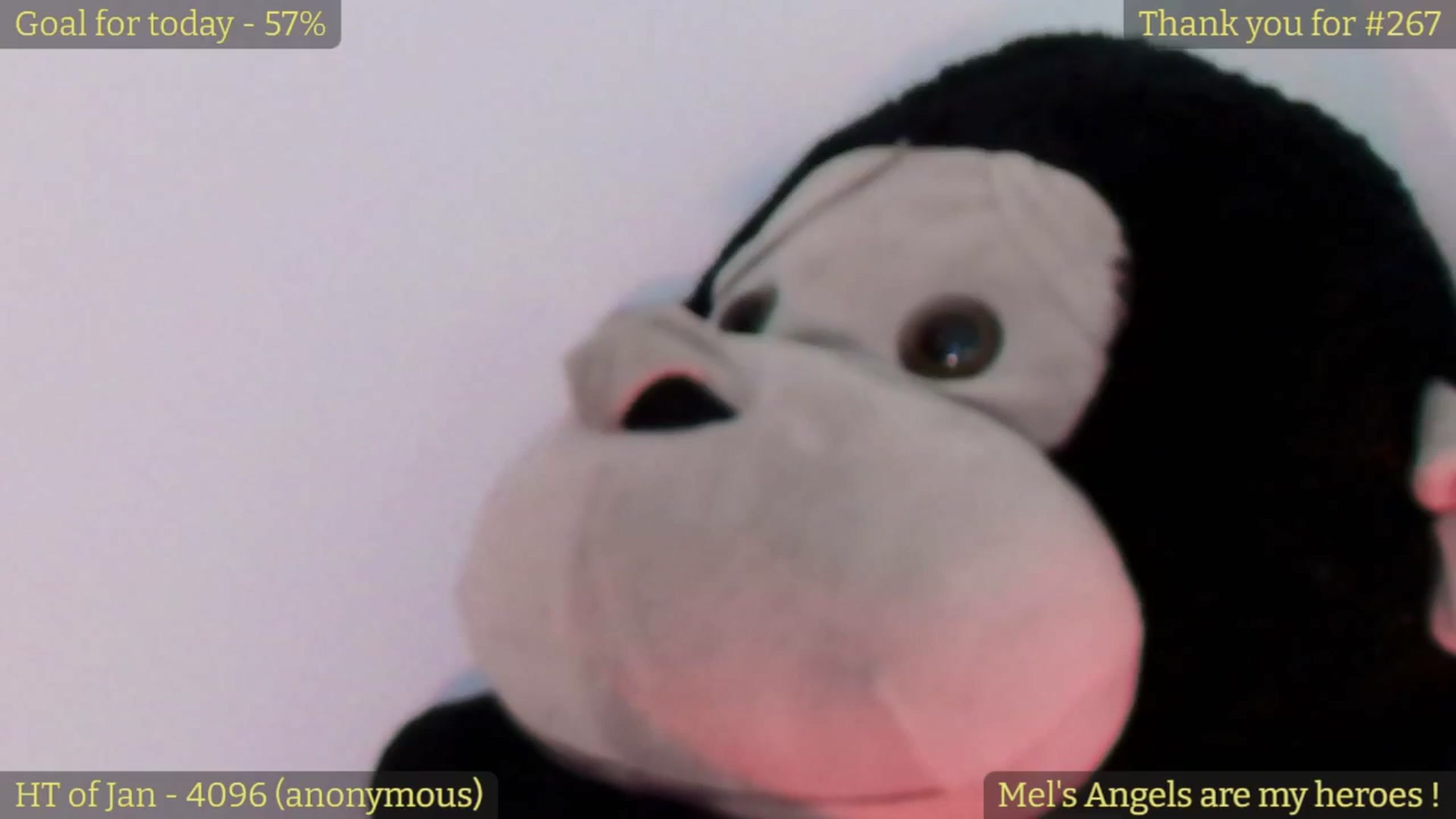 Melegance video thumbnail